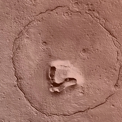 marsbear / SOL