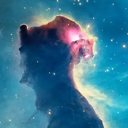 Space Cat