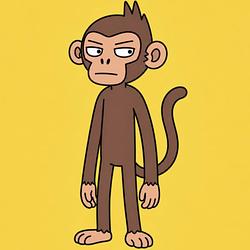 🐵 / SOL