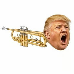 trumpet / SOL
