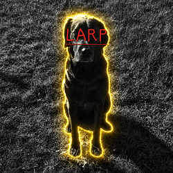 Soydog / SOL