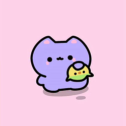 Gatto