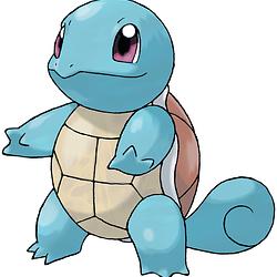 squirtle / SOL