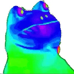 RFROG