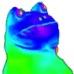oink