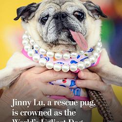 JINNY
