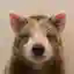 DOGPIGBEAR / WETH 0.25%