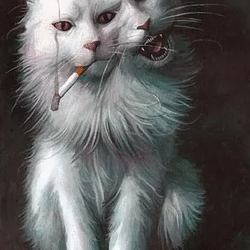 SMOKINGCAT / SOL