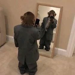monkey