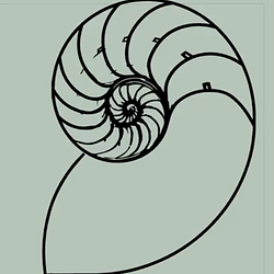 NAUTILO