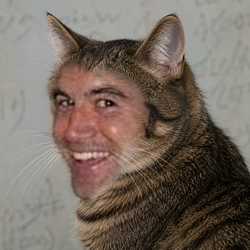 Tomcat / SOL