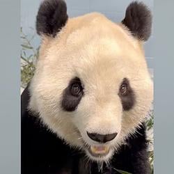 FUSHUANG