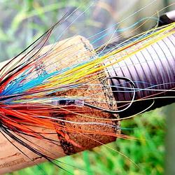 PIPEFLY / WETH