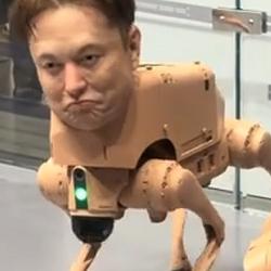ElonBot