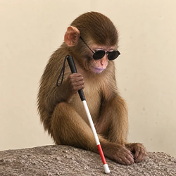 blindape