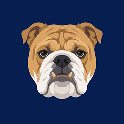 BULLDOG