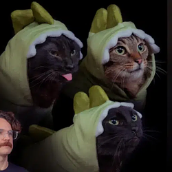 SillyCats