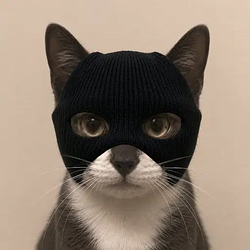 Cocaine Cat / SOL