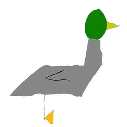 Duck