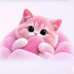 KITTYCARD / WETH