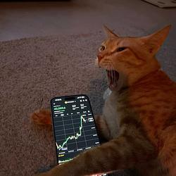 $BEN / SOL