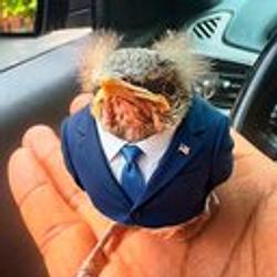 Birdnald
