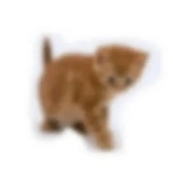 carlos