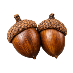 $NUTS