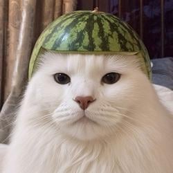 MELCAT