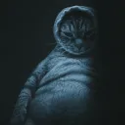 FATCAT