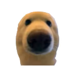 DOGGIE
