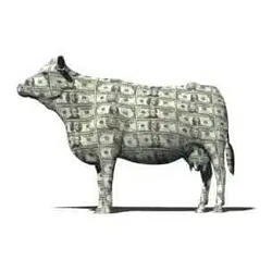 Cashcow