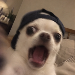 WAWA