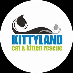 KITTYLAND / SOL