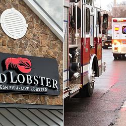 LOBSTER