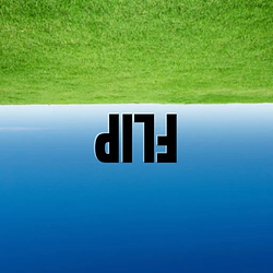 dᴉlɟ / SOL