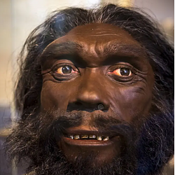 CAVEMAN
