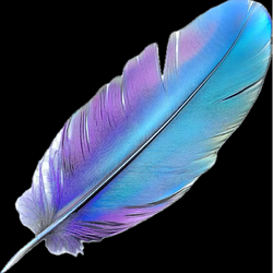 Feather