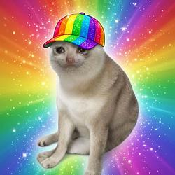 gaycat / SOL