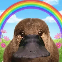 PLATYPUS / SOL