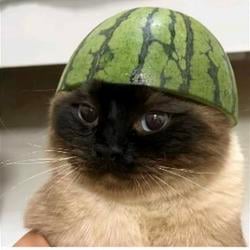 PURRMELON / WETH