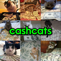 CASHCATS