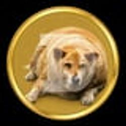 OGDOGE