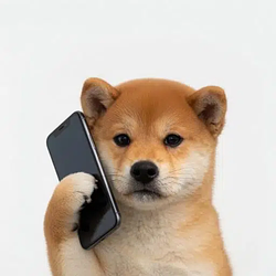 callinu