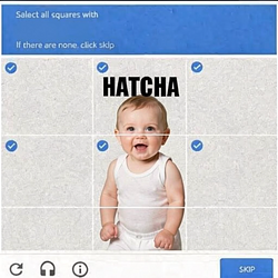 HATCHA