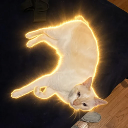CASPER