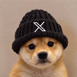 XINU / SPCX