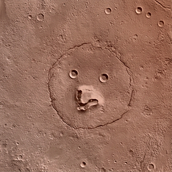 marsbear / SOL