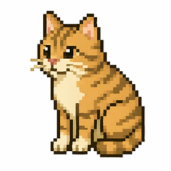 CashCat / USDC