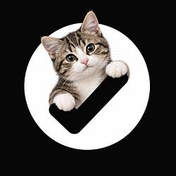 DEXCAT